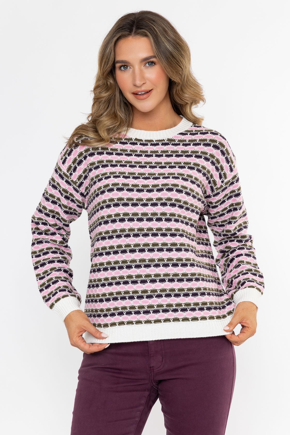 Multicolour Striped Cotton Blend Regular Fit Round Neck Jumper