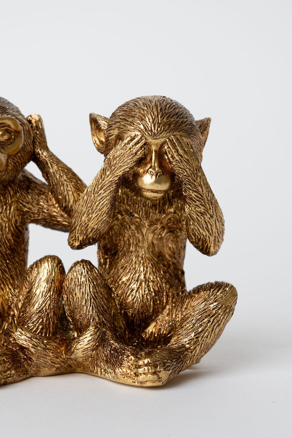 Carraig Donn 3 Monkeys