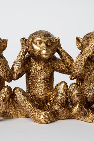 Carraig Donn 3 Monkeys
