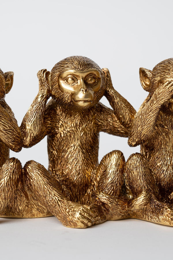 Carraig Donn 3 Monkeys