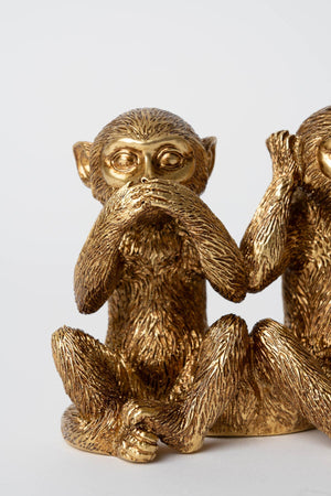 Carraig Donn 3 Monkeys
