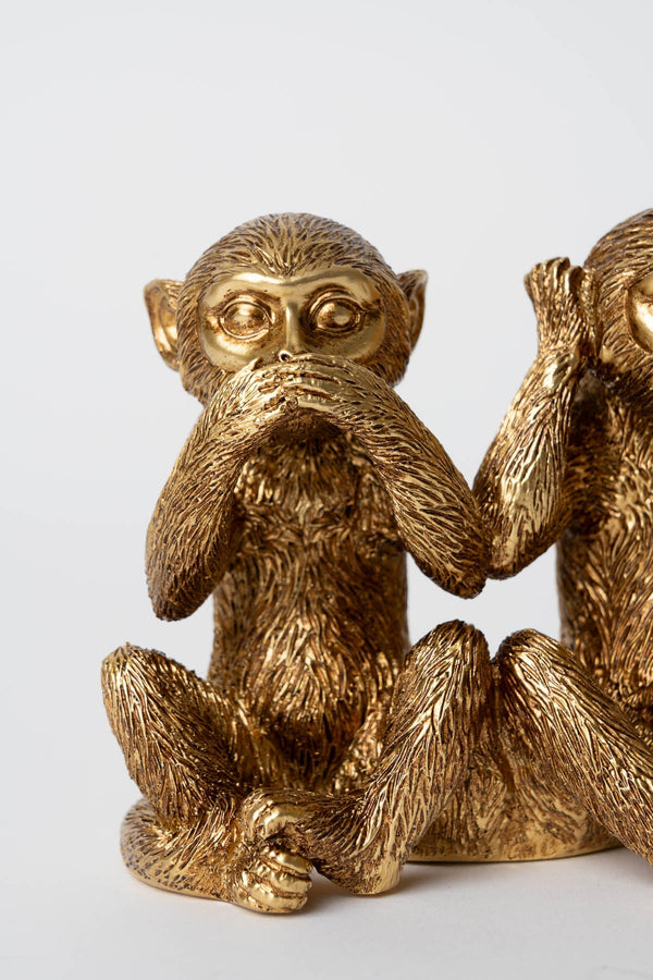 Carraig Donn 3 Monkeys