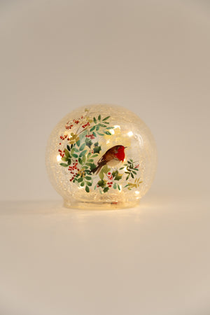 Set Of 2 Glass Robin LED Christmas Globes