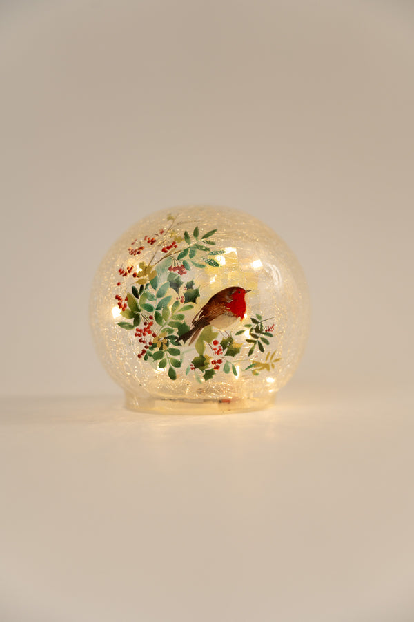 Set Of 2 Glass Robin LED Christmas Globes
