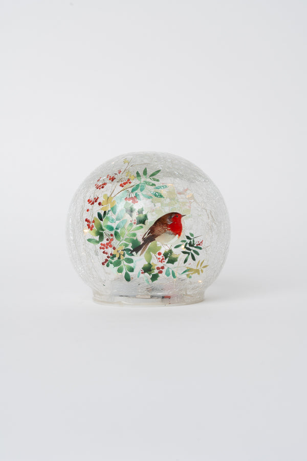 Set Of 2 Glass Robin LED Christmas Globes