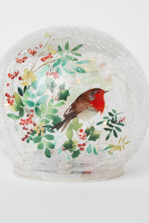 Set Of 2 Glass Robin LED Christmas Globes
