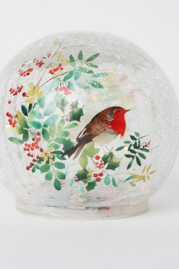 Set Of 2 Glass Robin LED Christmas Globes