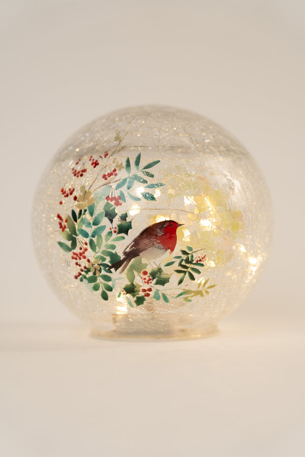 Set Of 2 Glass Robin LED Christmas Globes