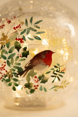 Set Of 2 Glass Robin LED Christmas Globes