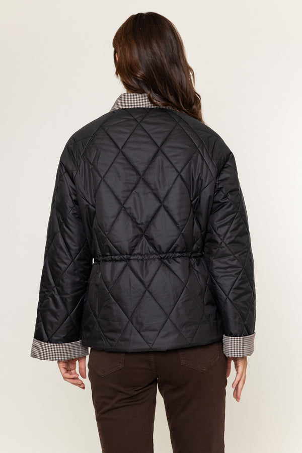 Black Short Padded Coat with Check Collar