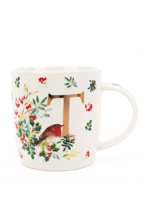 Carraig Donn Alphabet Mug T