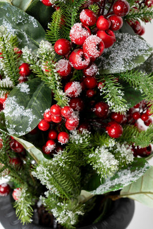 Carraig Donn Berry Topiary