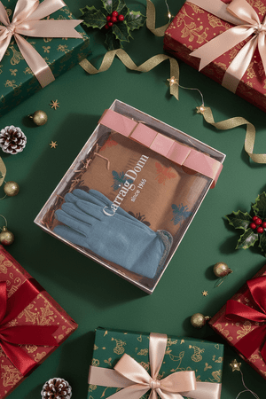 Carraig Donn Bee Scarf And Glove Gift Set in Brown