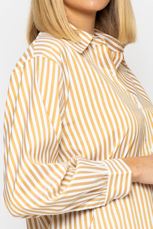 Carraig Donn Beige Classic Striped Shirt