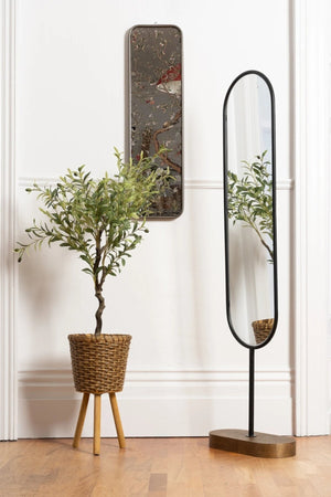 Carraig Donn Black Scott Floor Mirror