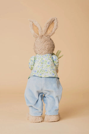 Carraig Donn Blue Mr Easter Bunny