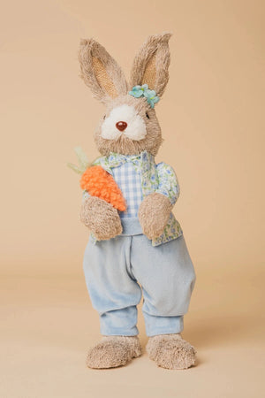 Carraig Donn Blue Mr Easter Bunny
