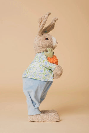 Carraig Donn Blue Mr Easter Bunny