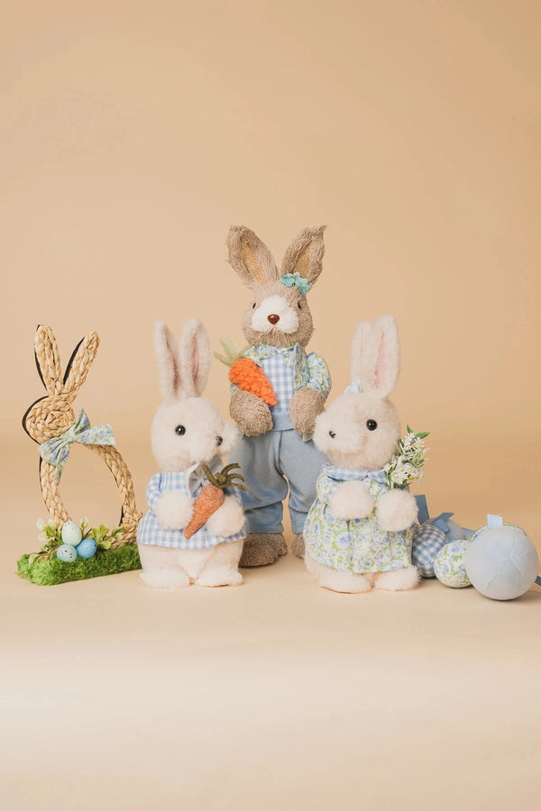 Carraig Donn Blue Mr Easter Bunny