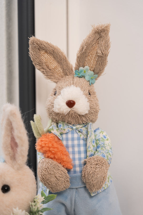 Carraig Donn Blue Mr Easter Bunny