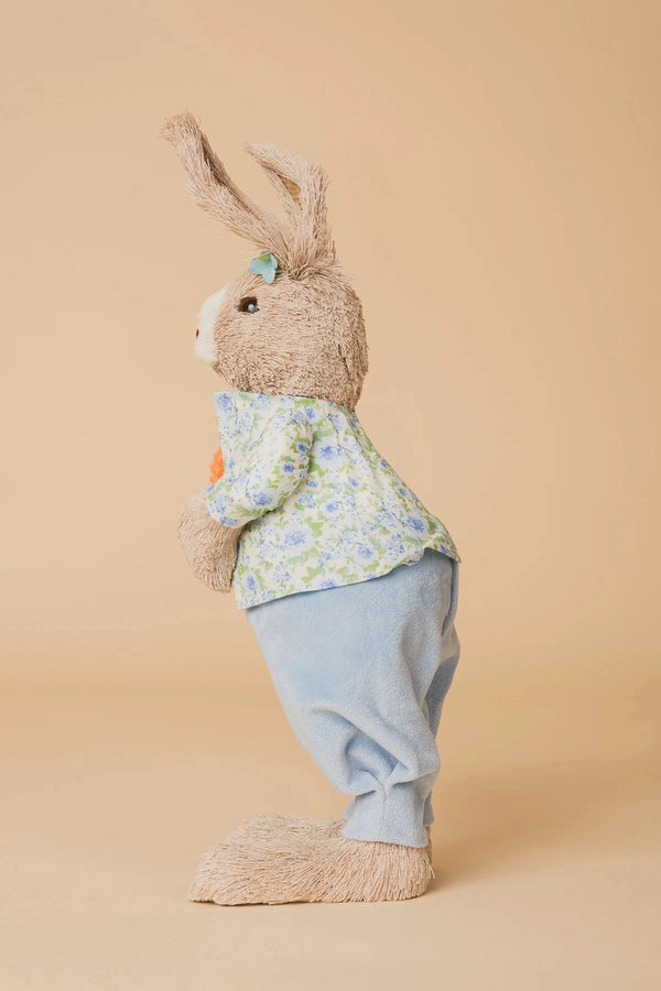Carraig Donn Blue Mr Easter Bunny