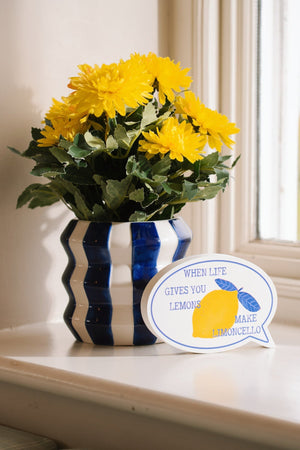 Carraig Donn Blue & White Stripe Ceramic Plant Pot