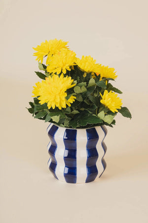 Carraig Donn Blue & White Stripe Ceramic Plant Pot