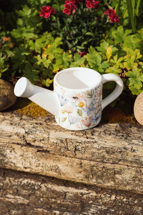 Carraig Donn Butterfly Watering Can Planter