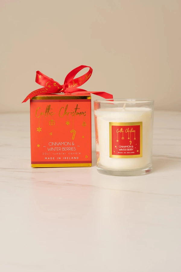 Carraig Donn Cinnamon & Winter Berry Candle