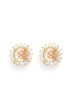 Carraig Donn Classic Golden Shadow Stud