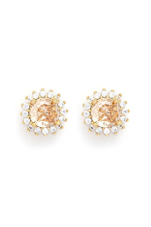 Carraig Donn Classic Golden Shadow Stud