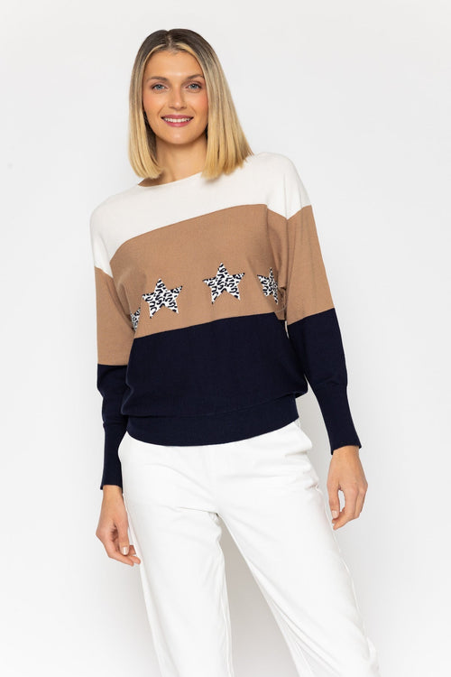 Colour Block Jumper with Animal Print Star Panel