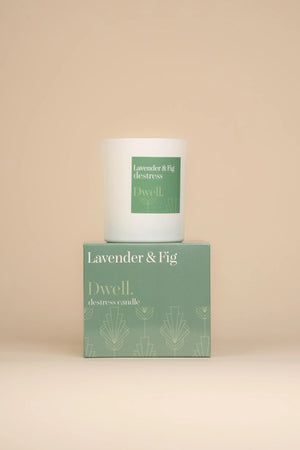 Carraig Donn Destress Lavender & Fig Dwell Candle