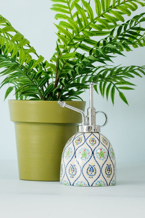 Eclectic Plant Mister K