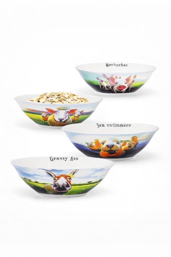 Carraig Donn Eoc Beyond The Herd Bowls S/4