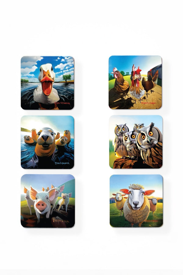 Carraig Donn Eoc Beyond The Herd Coasters S/6