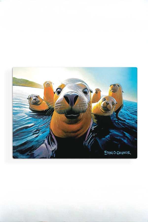 Carraig Donn Eoc Beyond The Herd Placemats S/6