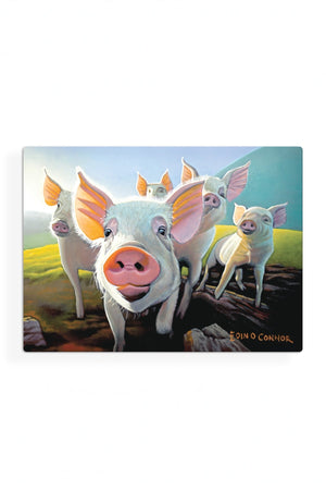 Carraig Donn Eoc Beyond The Herd Placemats S/6