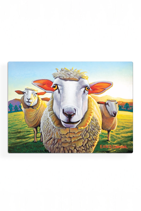Carraig Donn Eoc Beyond The Herd Placemats S/6
