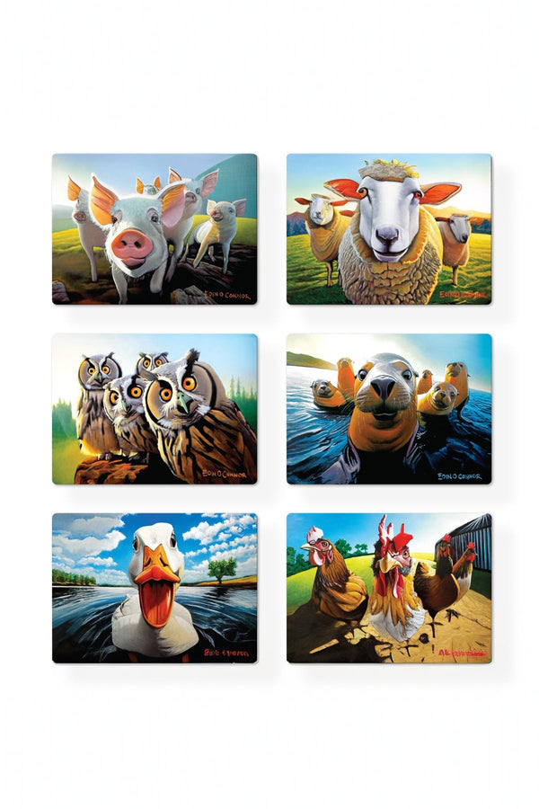 Carraig Donn Eoc Beyond The Herd Placemats S/6