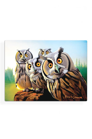 Carraig Donn Eoc Beyond The Herd Placemats S/6