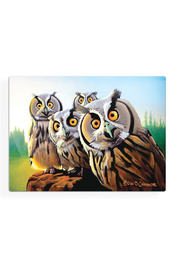 Carraig Donn Eoc Beyond The Herd Placemats S/6
