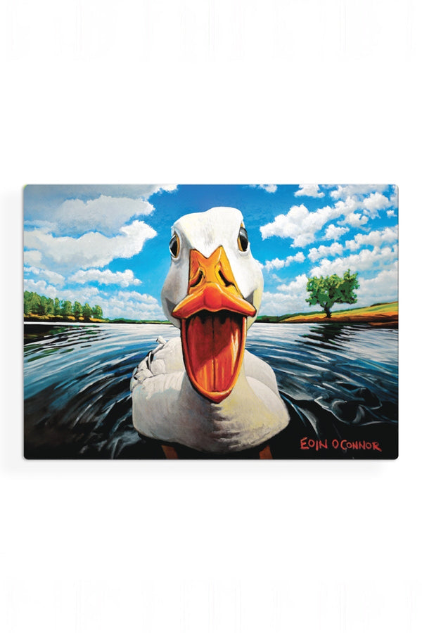 Carraig Donn Eoc Beyond The Herd Placemats S/6