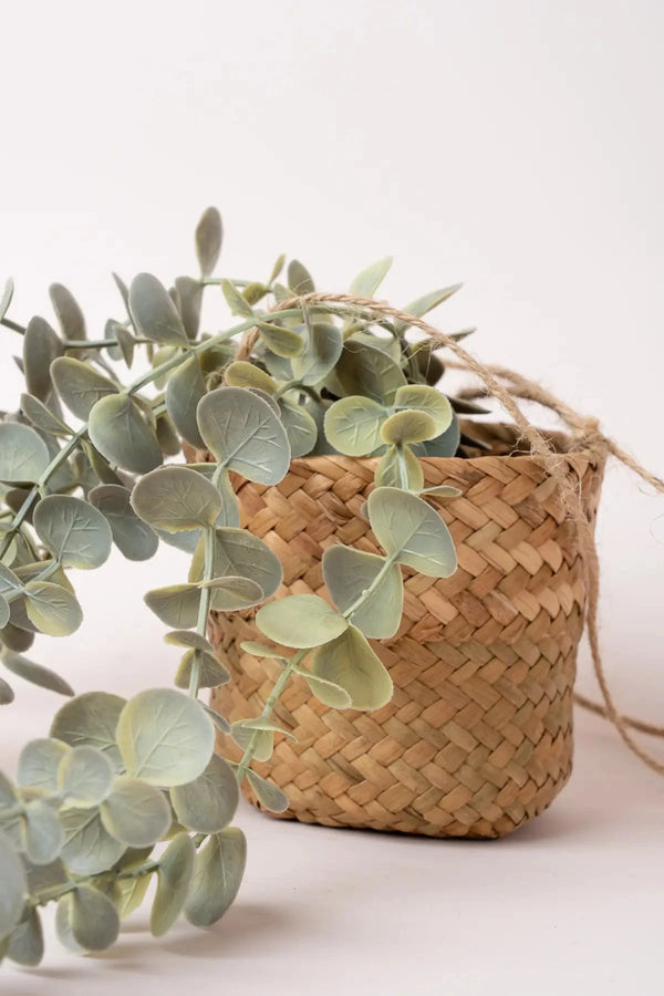 Carraig Donn Eucalyptus Hanging Plant Basket