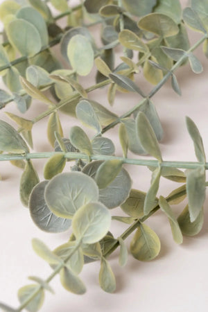 Carraig Donn Eucalyptus Hanging Plant Basket