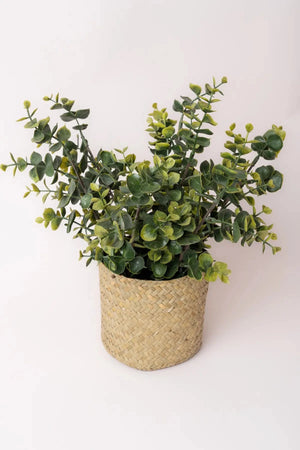 Carraig Donn Eucalyptus Plant Basket