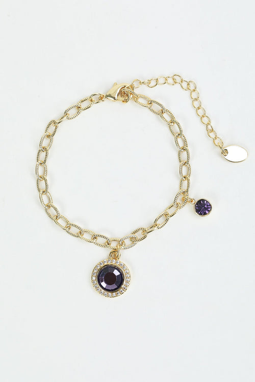 February Birthstone Charm Bracelet