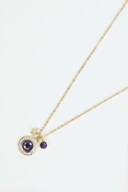 February Birthstone Charm Necklace