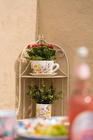 Carraig Donn Floral Teacup Planter