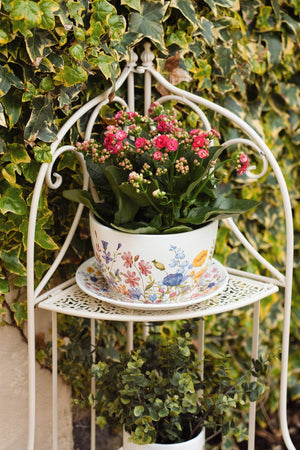 Carraig Donn Floral Teacup Planter